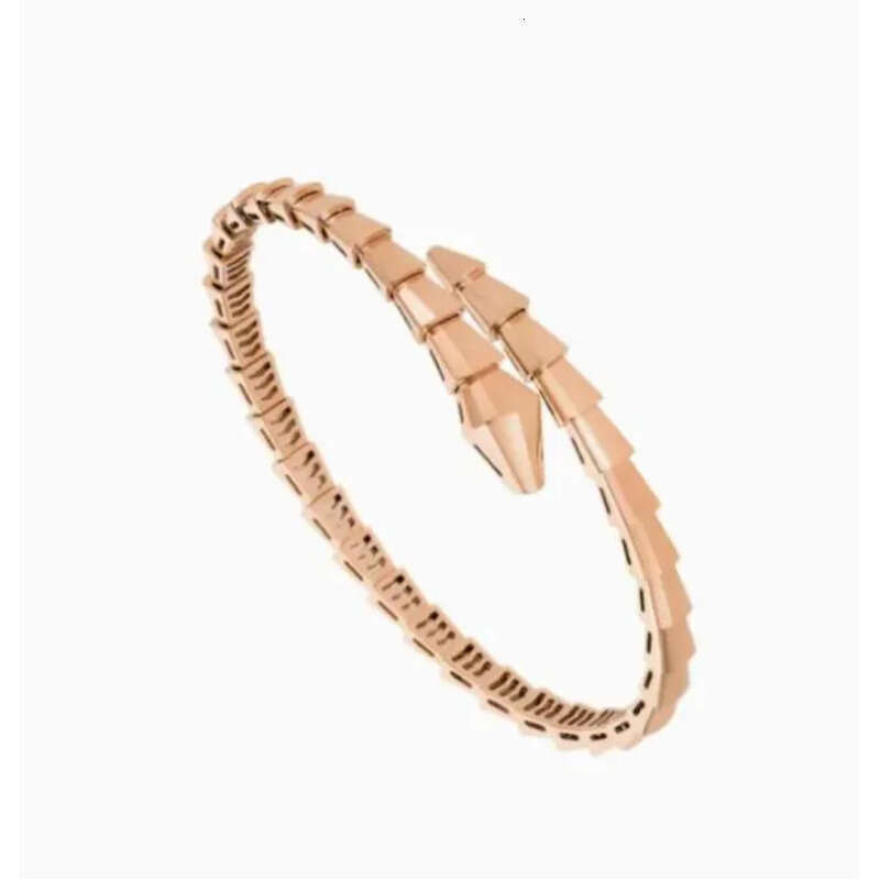 Designer Jewelry Narrow Single Circle Snake Designers Bracelet Gold Bracelets Bangle Party Birthday Gift High Quality H446