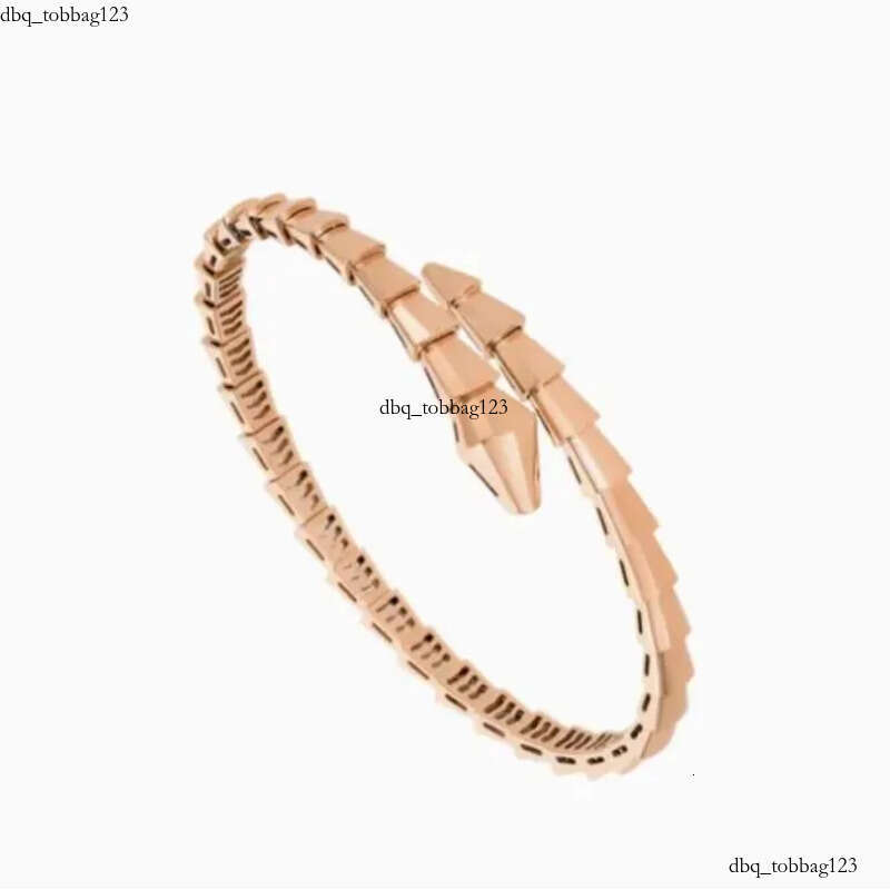 Designer Jewelry Narrow Single Circle Snake Designers Bracelet Gold Bracelets Bangle Party Birthday Gift High Quality H446
