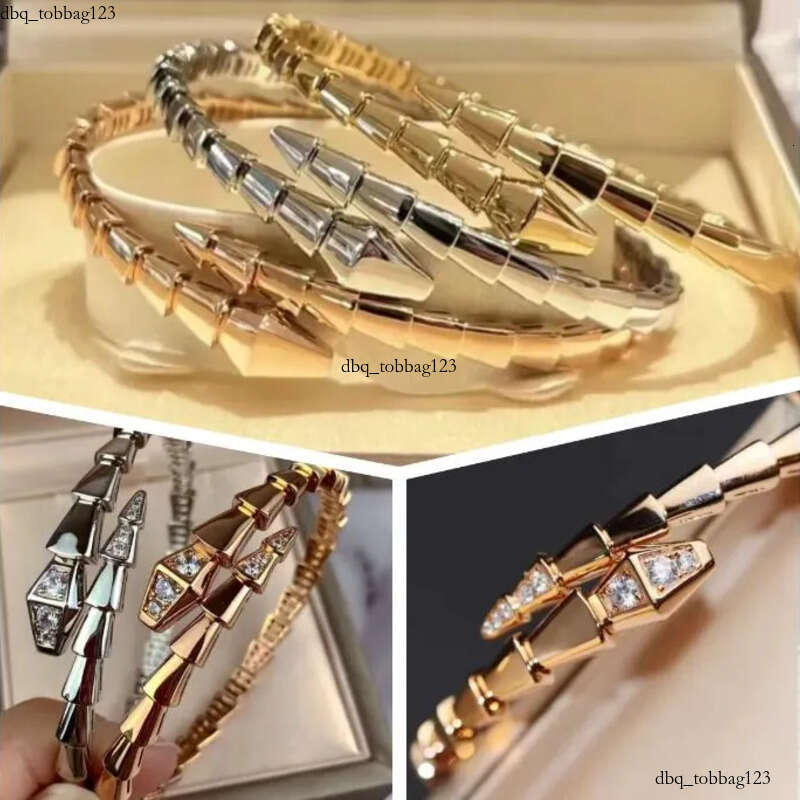 Designer Jewelry Narrow Single Circle Snake Designers Bracelet Gold Bracelets Bangle Party Birthday Gift High Quality H446