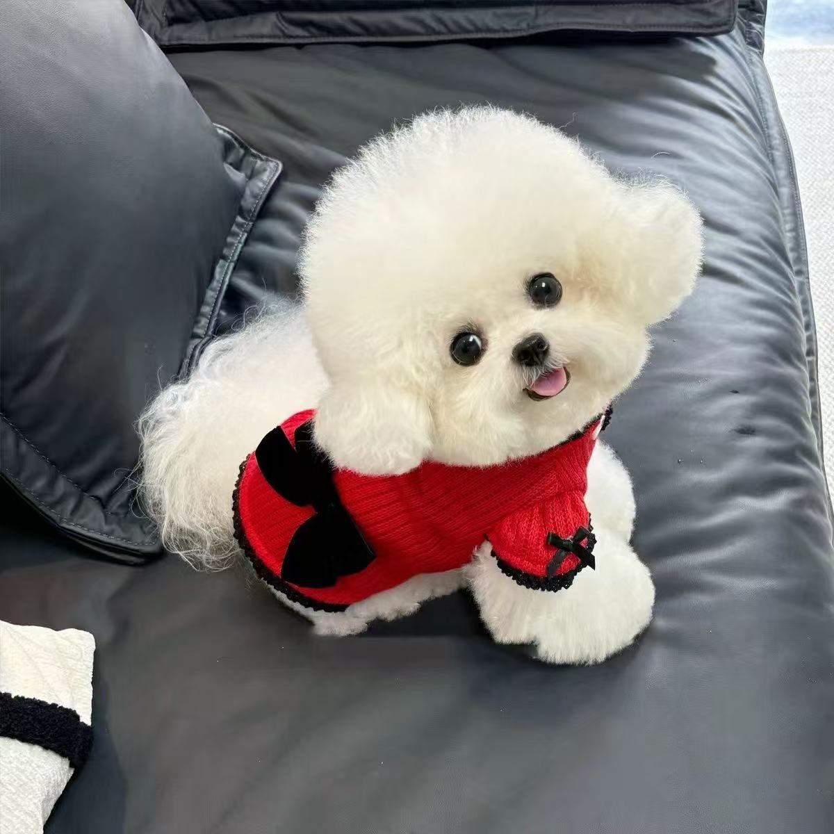 T1428 Dog Clothes Autumn and Winter New Bow Puff Sleeve Jacket Thick Sweater Pet Bichon Teddy New Year Dress