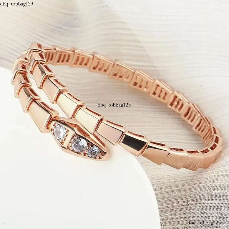 Designer Jewelry Narrow Single Circle Snake Designers Bracelet Gold Bracelets Bangle Party Birthday Gift High Quality H446