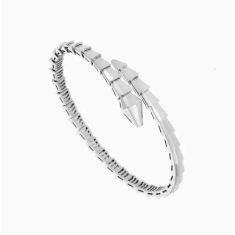 Designer Jewelry Narrow Single Circle Snake Designers Bracelet Gold Bracelets Bangle Party Birthday Gift High Quality H446