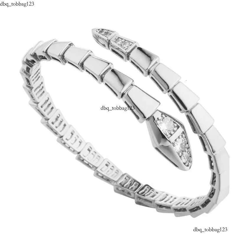 Designer Jewelry Narrow Single Circle Snake Designers Bracelet Gold Bracelets Bangle Party Birthday Gift High Quality H446
