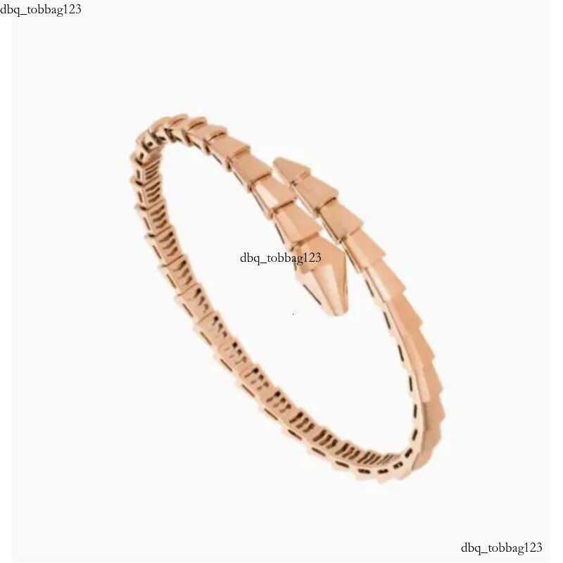 Designer Jewelry Narrow Single Circle Snake Designers Bracelet Gold Bracelets Bangle Party Birthday Gift High Quality H446