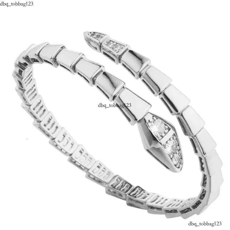 Designer Jewelry Narrow Single Circle Snake Designers Bracelet Gold Bracelets Bangle Party Birthday Gift High Quality H446