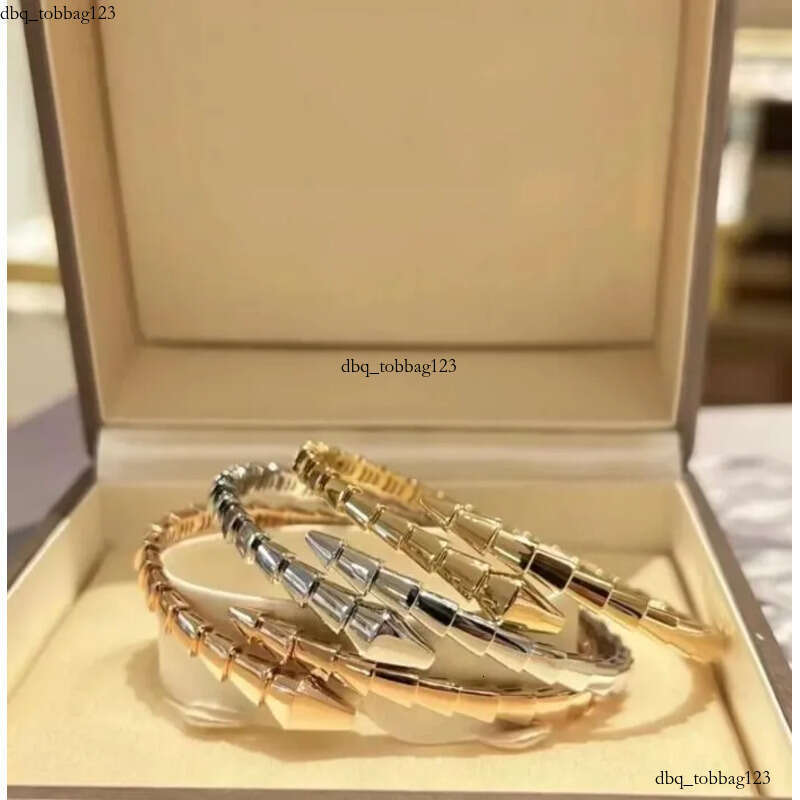 Designer Jewelry Narrow Single Circle Snake Designers Bracelet Gold Bracelets Bangle Party Birthday Gift High Quality H446
