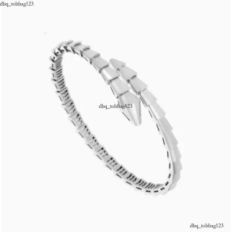 Designer Jewelry Narrow Single Circle Snake Designers Bracelet Gold Bracelets Bangle Party Birthday Gift High Quality H446
