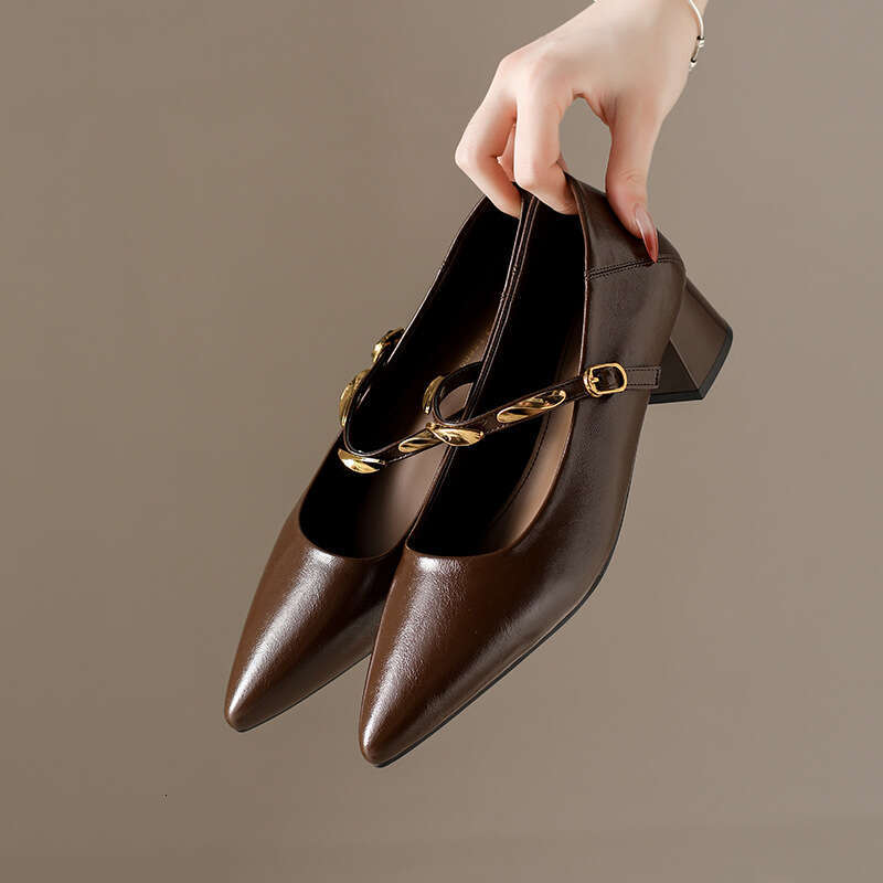 Designer Shoe Korean Style Chunky heel Mary Jane Women's 2025 New Autumn Pointed Toe Shallow Mouth Single Strap Shoes