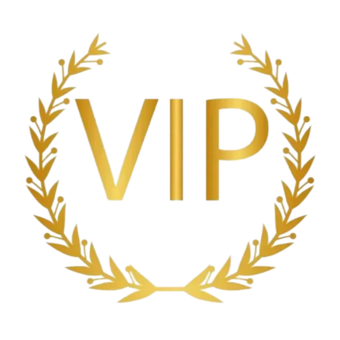 VIP Link: Fast Payment Access for Personalized Items with Specified Styles & Sizes - Custom Solutions delivered promptly