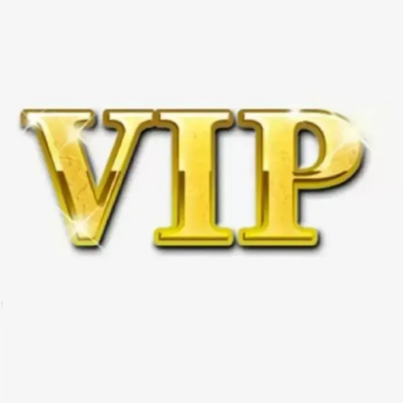 VIP Link: Fast Payment Access for Personalized Items with Specified Styles & Sizes - Custom Solutions delivered promptly