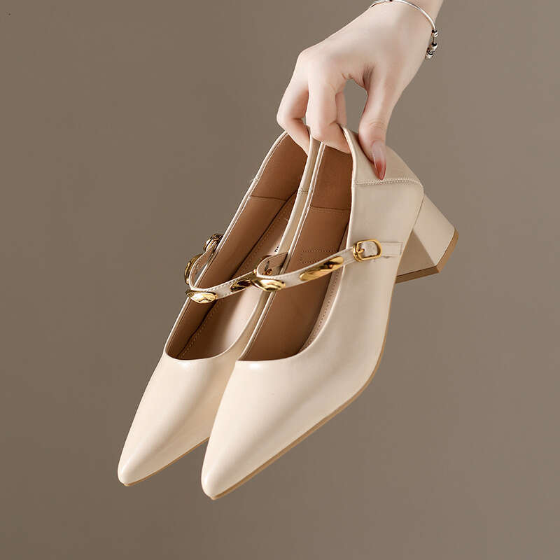 Designer Shoe Korean Style Chunky heel Mary Jane Women's 2025 New Autumn Pointed Toe Shallow Mouth Single Strap Shoes