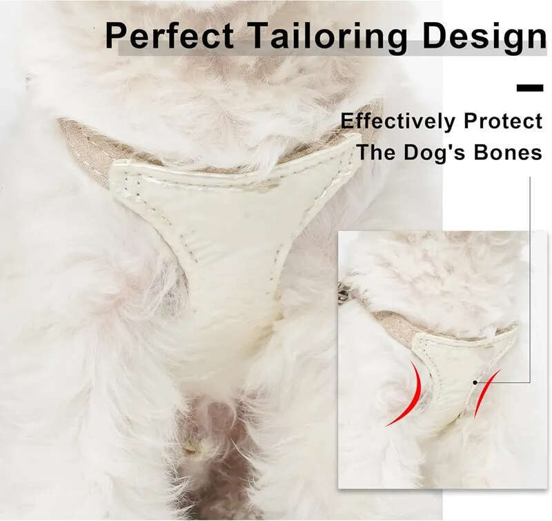 2025 new Designer Dog and Multifunction Leash, Lightweight Soft Adjustable No Choke Escape Proof Pet Harness Vest for Chihuahua Poodle Pomer