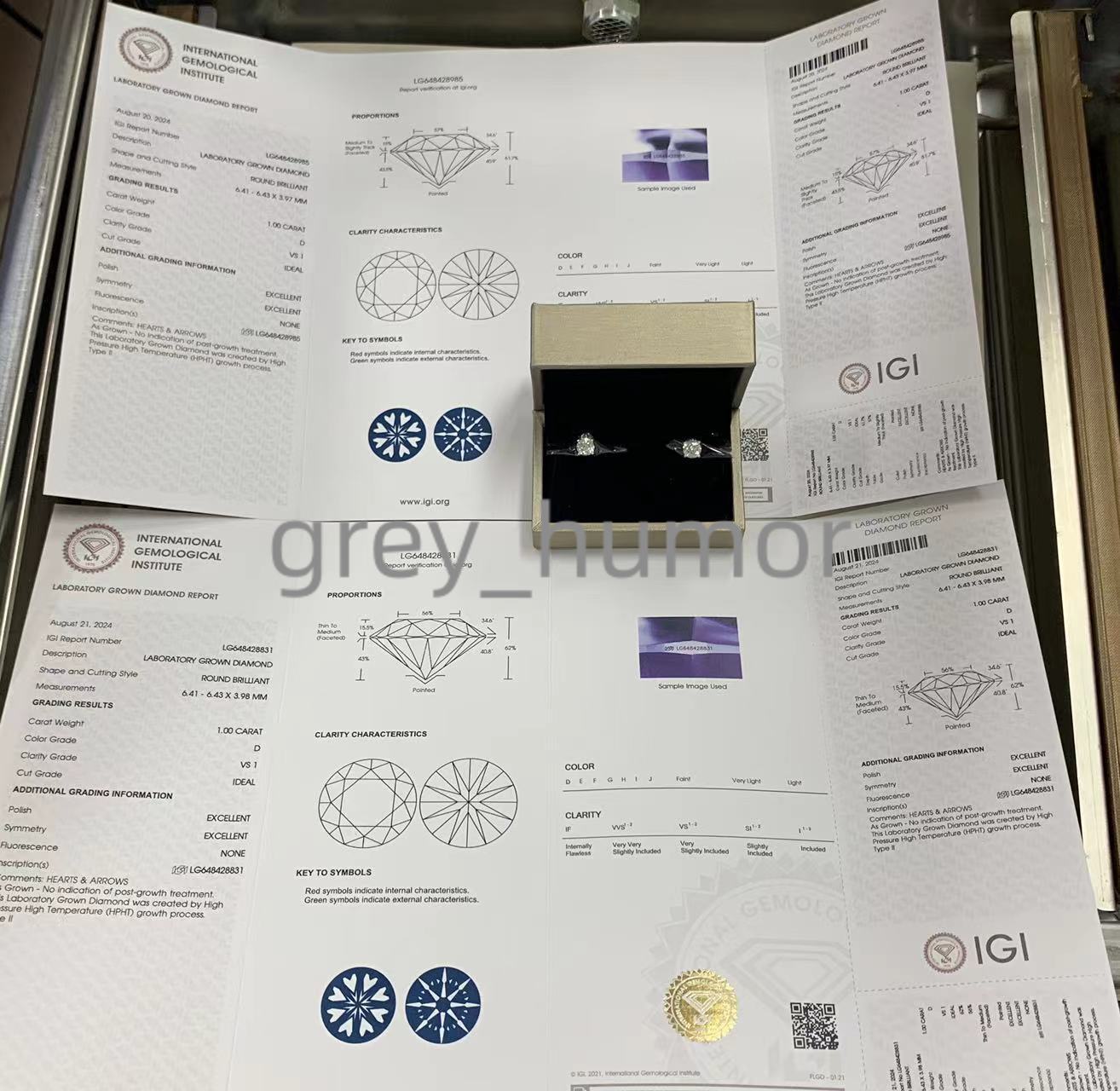 Igi Certified HPHT CVD Lab Grown Made Created Diamond 14k 18k Solid Gold 4 Prong Earrings Stud Lab Grown Studs 1 2 3 Carat