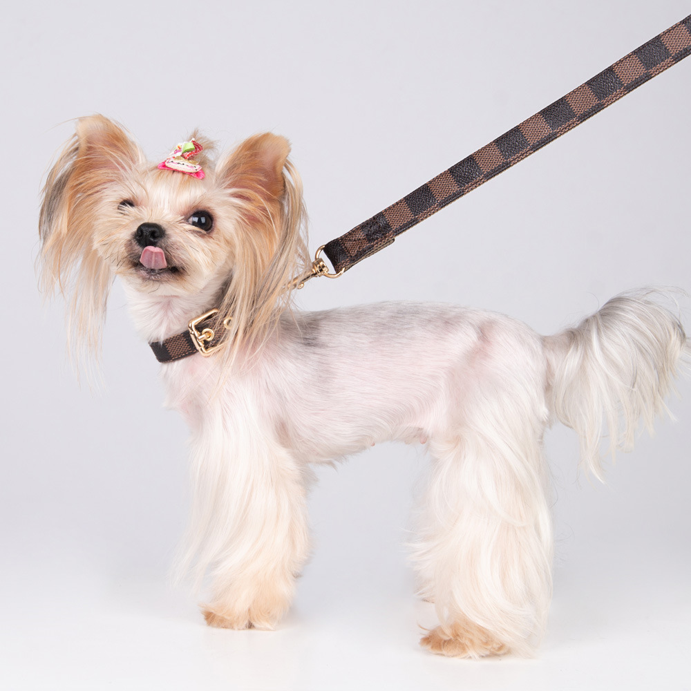 classic fashionable and trendy luxury adjustable pet collar designer carrier dog leather neck collar wearresistant dog walking leash neck collar jacket and bed