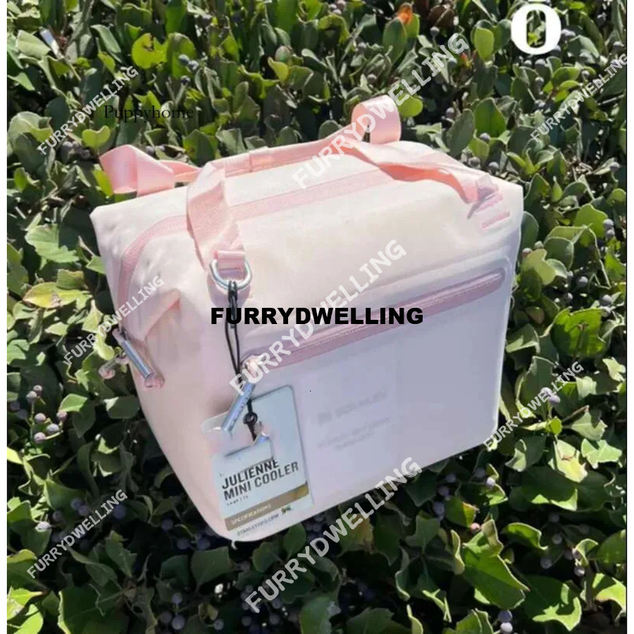 US Warehouse All Day Dwe74 Julienne Mini Soft Lunch Bag Box Recycled Polyester 10 Can 12 Hour Coog Travel Cooler Bgas With 0304 Dr0319