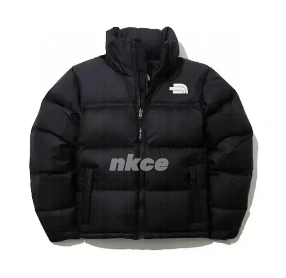 Face Jacket Womens Designer Mens Down Coat Peak Purple RED VIOLET Femme Zipper Outwears Northen Jacket NF 700 Parka Windbreaker Jackets 29f