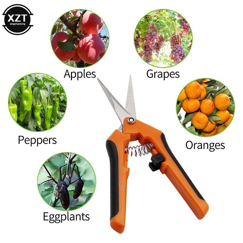 Garden Tools Secateurs Bonsai Shears Metal Gardening Scissor Pruning Tool Hand Cutter Fruit Picking Weed Household Potted 1PC J251121