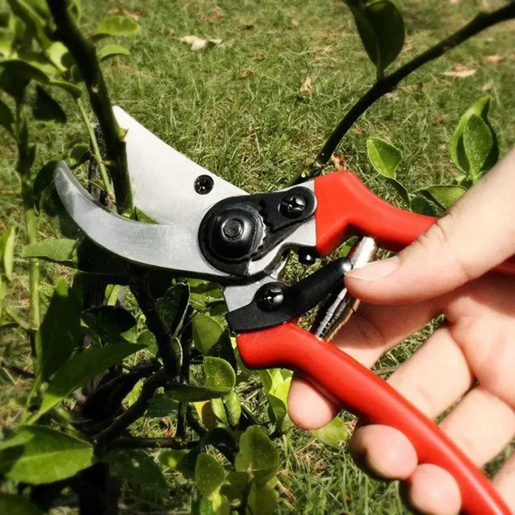 Highcarbon Steel Gardening Scissors Grafting Tool Fruit Tree Pruning Shears Bonsai Pruners Garden Shears Secateurs J251121