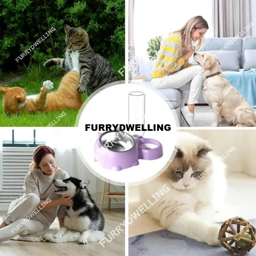 120317 The Surface Of The Cat Bowl Has An Easy To Clean Nano Coating, Which Prevents Water Dwe74 Droplets And Oil Stains From Sticking. With A Gentle Rinse