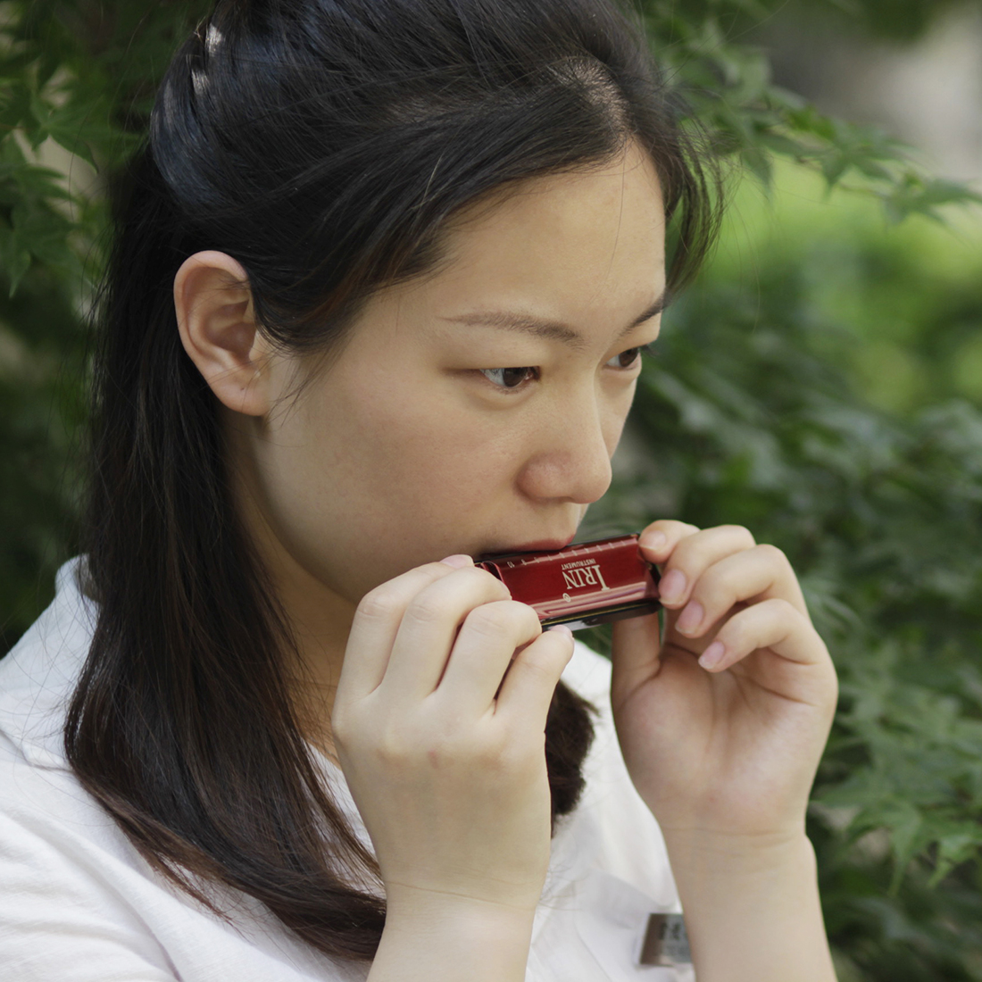 IRIN G-30 Red 10-Hole 20-Reed Harmonica - Brass Cover with Water-Resistant Comb, Excellent Air Tightness and Portable Design for Rich Stable Tone