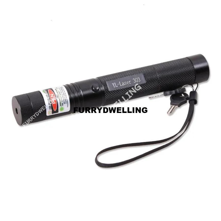 High-Power Green Dwe74 Laser Cat Toy Pointer With Adjustable Settings And Rechargeable Battery