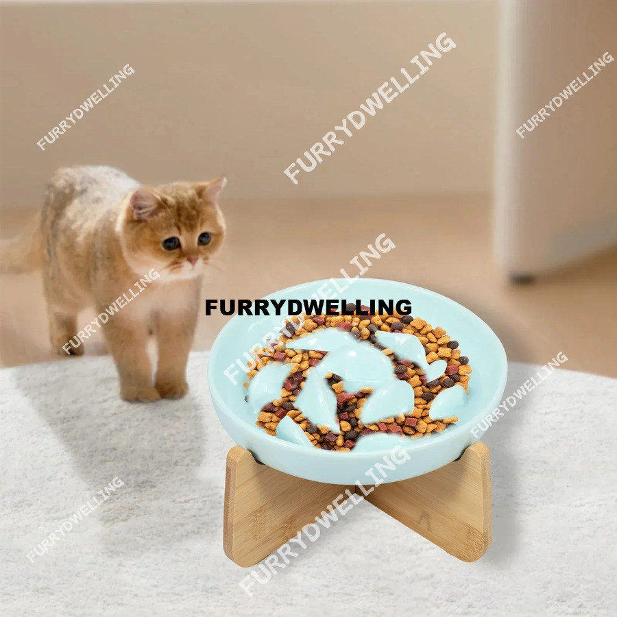 880689 Non-Steel Cat Bowl Material Dwe74 Quality Determination, No Harmful Substance Quality, Not Easy To Cause Cat's Reaction