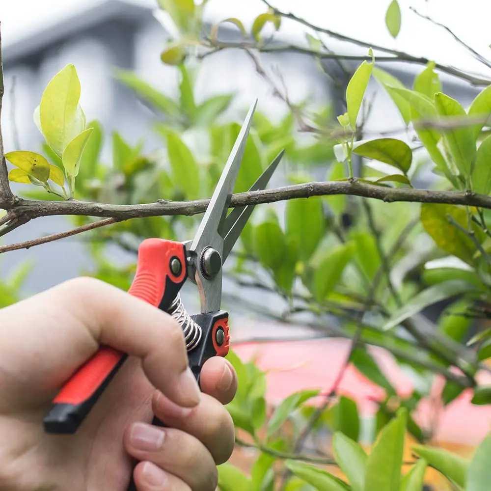 Pruning Shears Scissors Heavy Duty Stainless Steel Ultra Sharp Hand Pruner Scissors For Garden Harvesting Fruits Vegetable Tools J251121