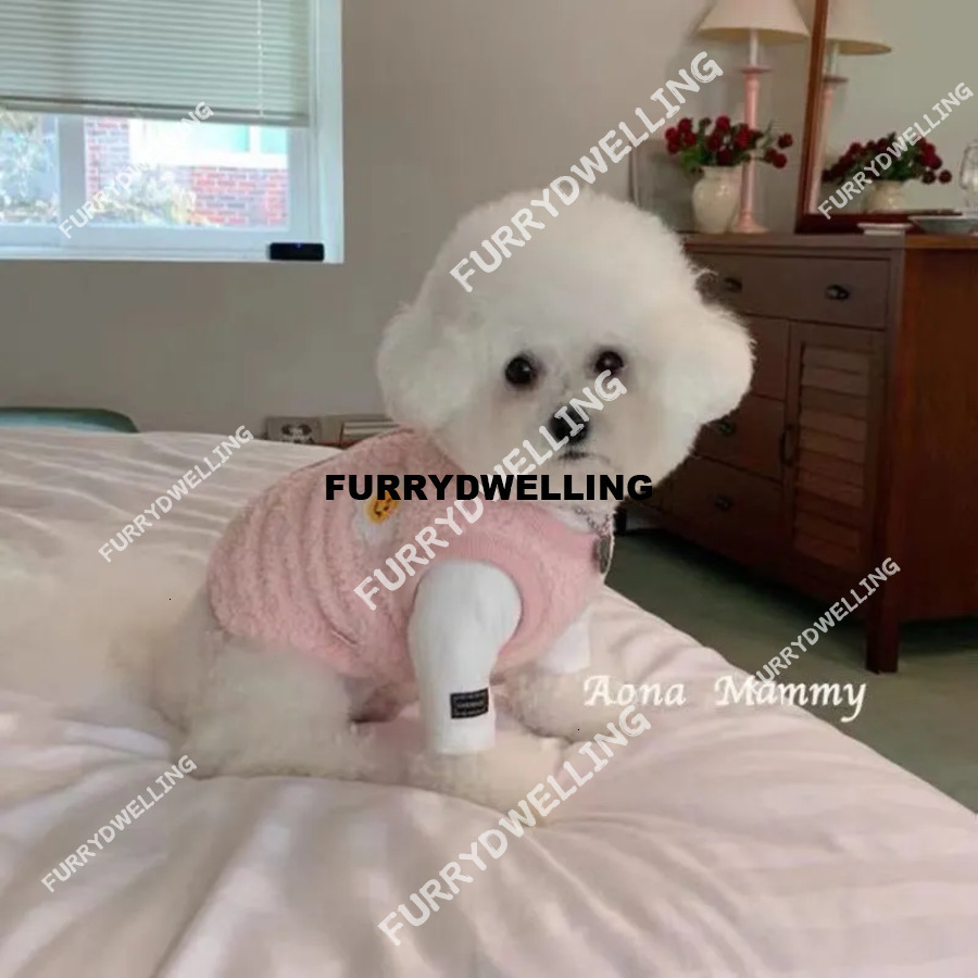 Spring Summer Pet Apparel Cat Jerseys Small Cats Like Siamese, British Shorthairs, Ragdolls, Persians And Sphynxes Also Dwe74 Suited For S