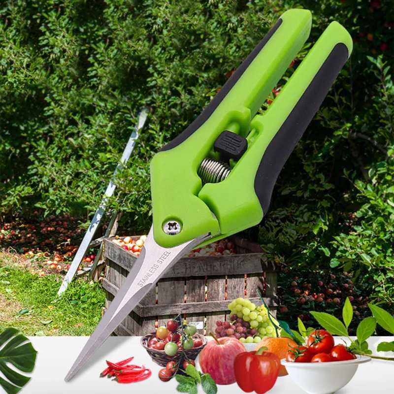 Garden Pruning Shears Orchard Picking Scissors Potted Trim Weed Branches Garden Flower Sharp Scissors Gardening Hand Tools J251121