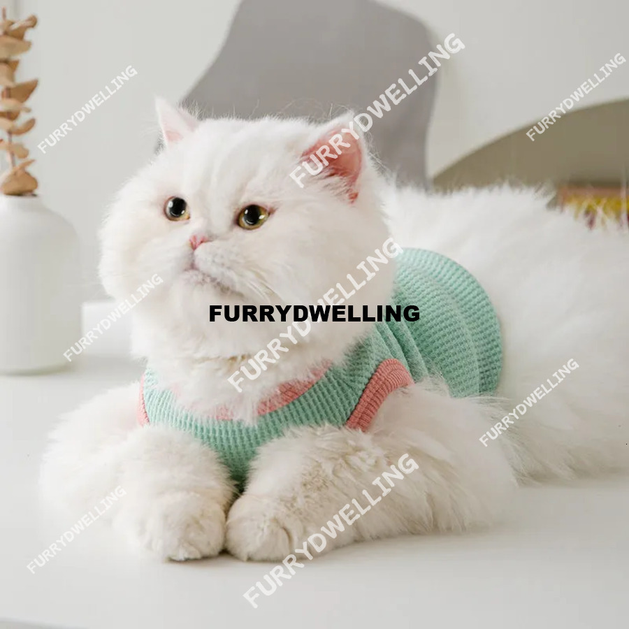 Dwe74 Spring Summer Lightweight Herringbone - Patterned Shirts Small Cats And Puppies. Ideal For Siamese, Chihuahuas, Yorkies