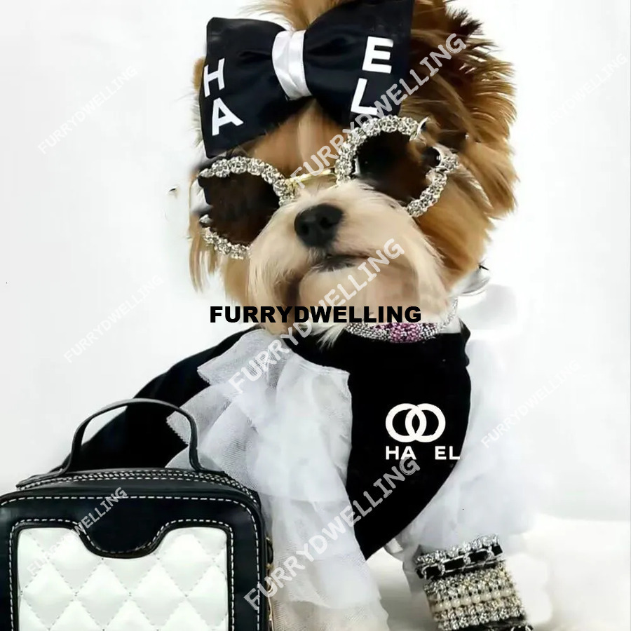 Designer With White Lace Clothes Dwe74 Summer Schnauzer T-Shirts Soft Elastic Breathable Puppy Shirts For Small Dog Medium Cats Black XXS