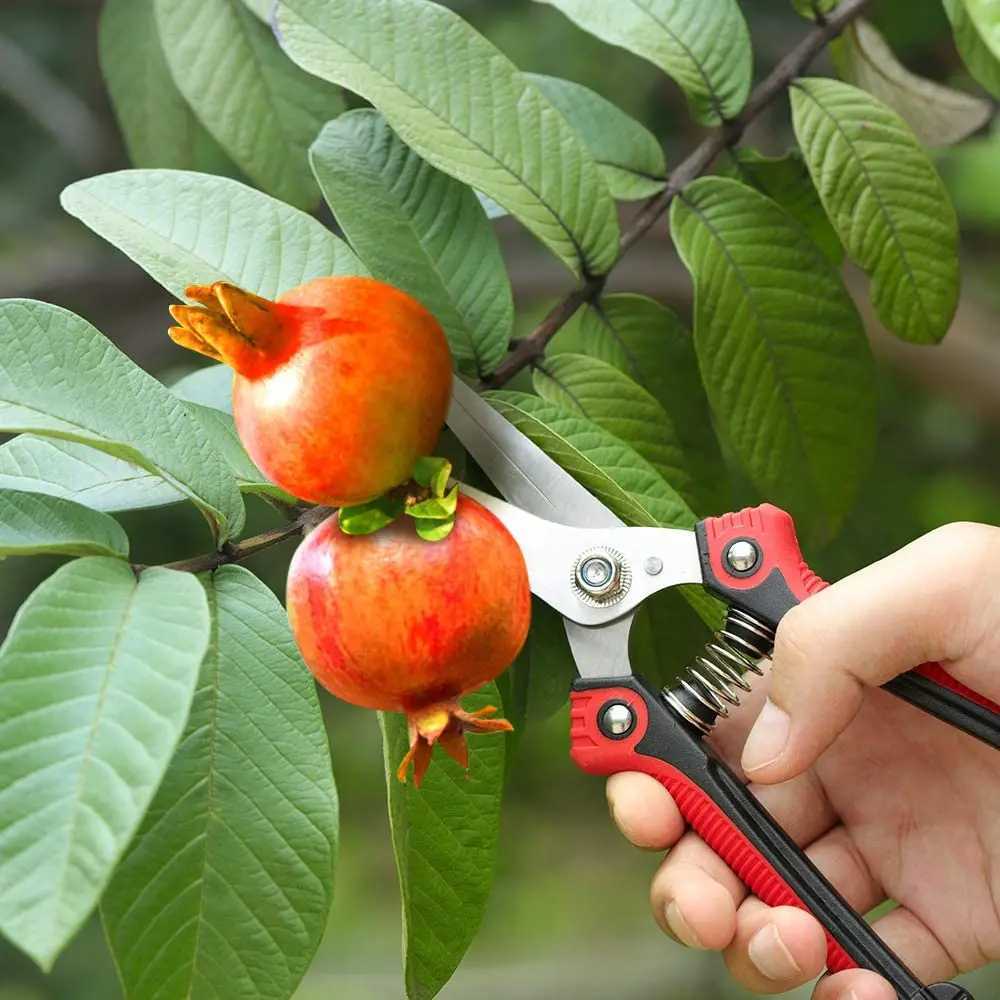 Pruning Shears Scissors Heavy Duty Stainless Steel Ultra Sharp Hand Pruner Scissors For Garden Harvesting Fruits Vegetable Tools J251121