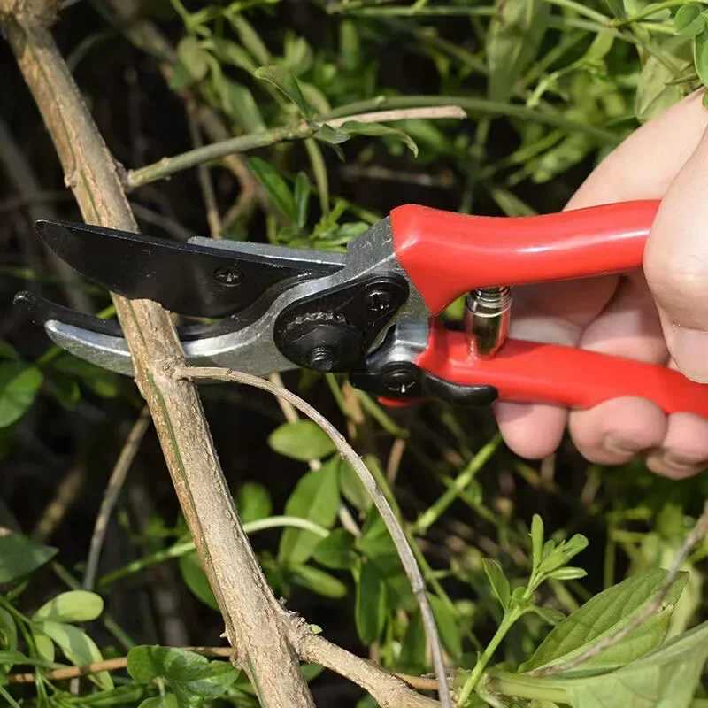 Highcarbon Steel Gardening Scissors Grafting Tool Fruit Tree Pruning Shears Bonsai Pruners Garden Shears Secateurs J251121