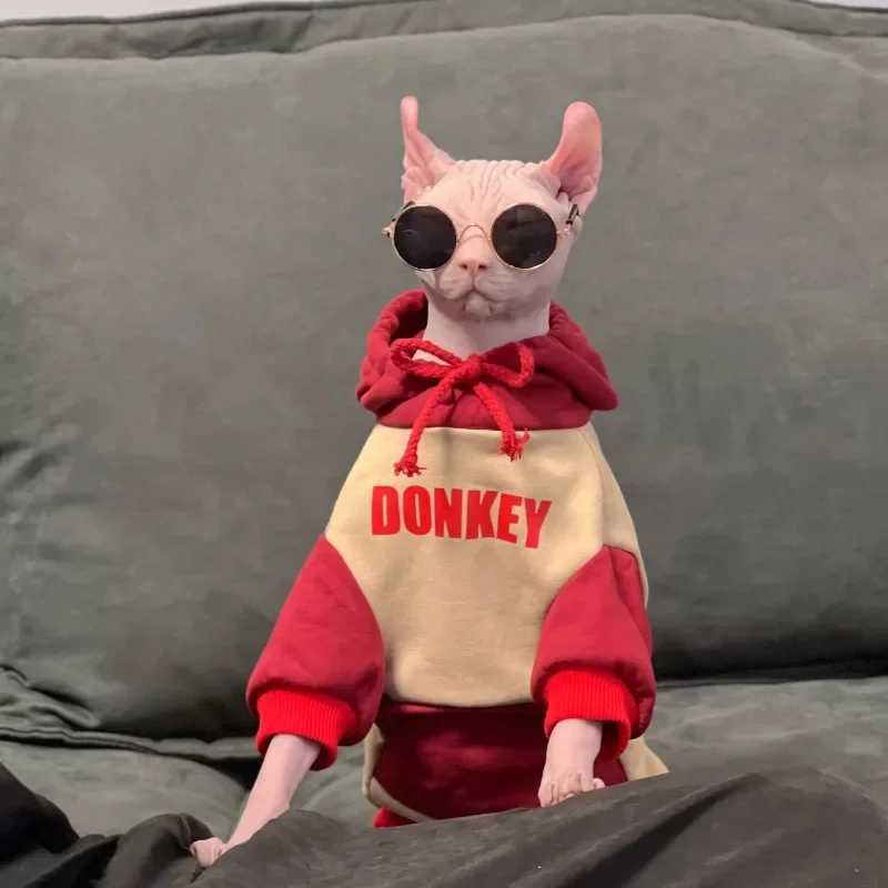 Warm Fashion Hooded Sweatshirt for Sphynx Cat Clothing Winter Thick Long Sleeves Coat for Devon Rex Soft Loungewear for Kittens C251009