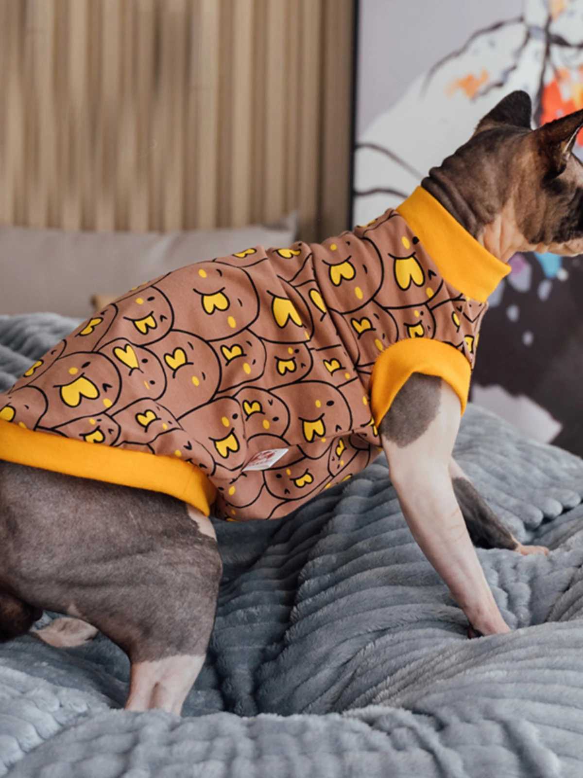 Sphynx Cat Clothes Cat Cotton Tshirt Fashion Cartoon Vest For Hirlless cat Devon Rex Coat in good elasticity For Spring Outwear C251009