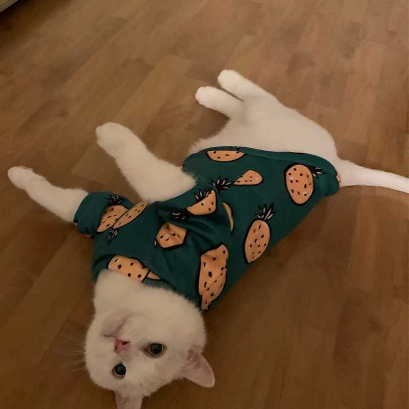 Cute Print Cat Clothes Suit Spring Autumn Warm Fleece Pet Cat Pullover for Cats Kedi Soft Kitten Sweater Sphynx Clothing Outfits C251009