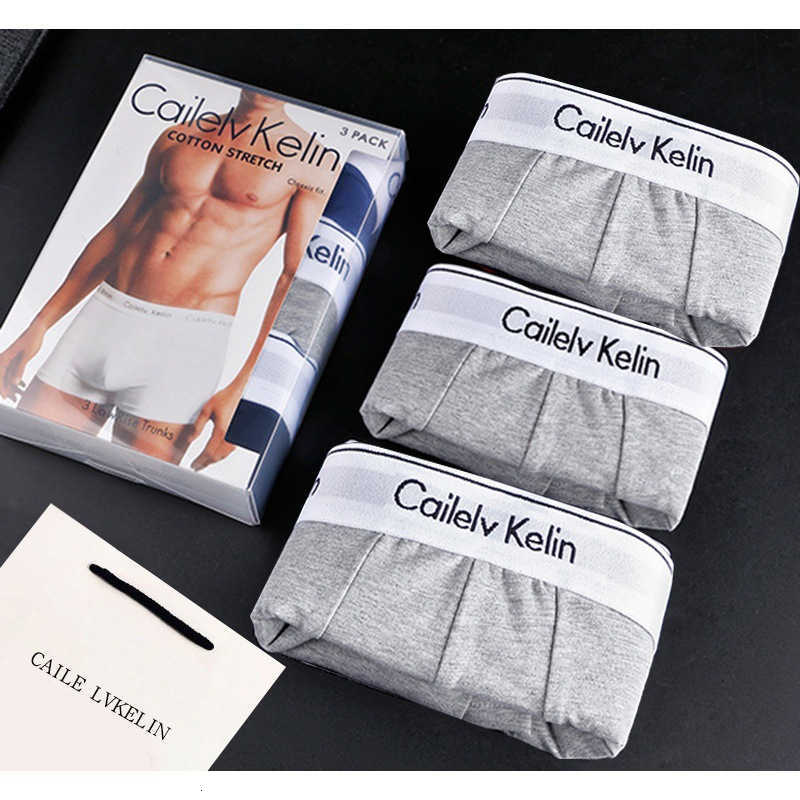 Men's underwear: Pure cotton men's briefs with four corners W240925