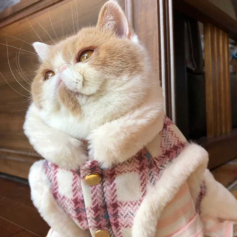 Super Warm Winter Pet Cat Dog Jacket Vest Clothes for Cats Puppy Soft Kitten Coat with Fur Collar chats Clothing ropa para gatos C251009