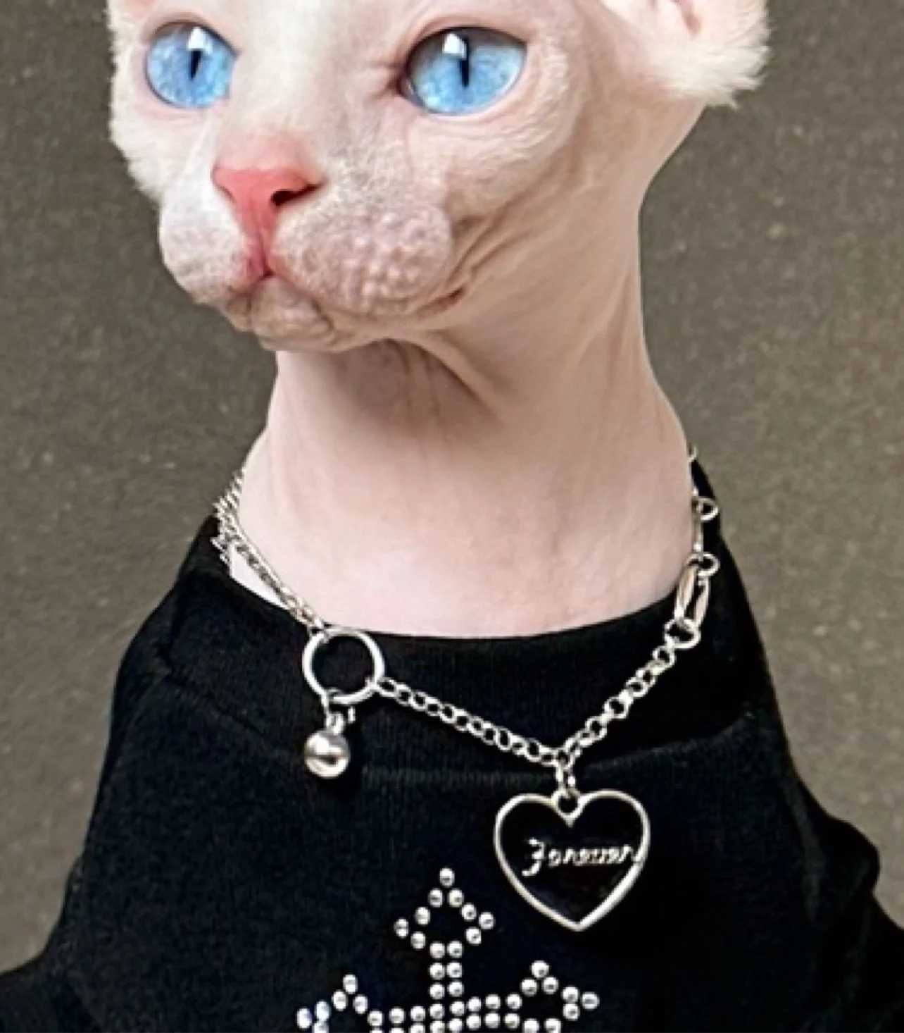 Devon Rex Cat Clothes Sparkling Diamond Studded Black Cat Vest for Summer Hairless Cat Clothes Sphynx Cat Clothes C251009