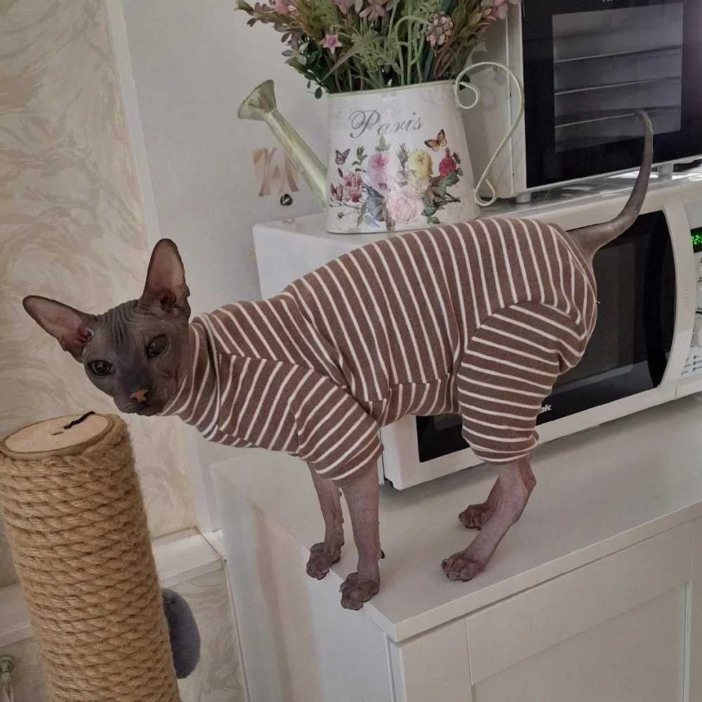 Winter Clothes for Cat Stripped Cotton 4legged Coat For SphnxLong sleeves Undershirt for Kittens Devon Rex Jumpsuit C251009