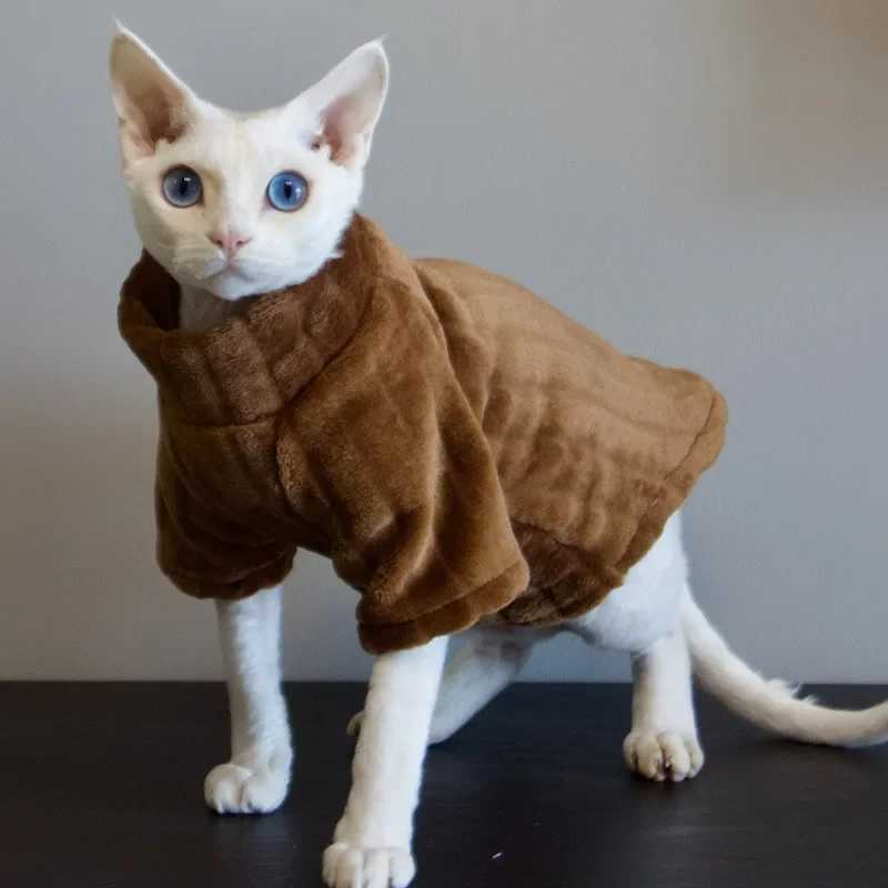 New Sphynx Cat Sweater Twolegged Soft Baby Shirt for Hairless Cat Winter Warm Solid Color Cornish Sweater Pet Kitten Clothes C251009