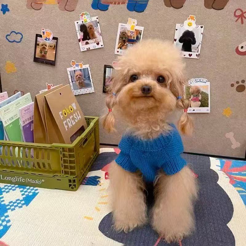 T1538 Autumn and Winter Pet Cat Clothes Strawberry Flower Sweater Teddy Bichon Pomeranian Small Dog Clothes