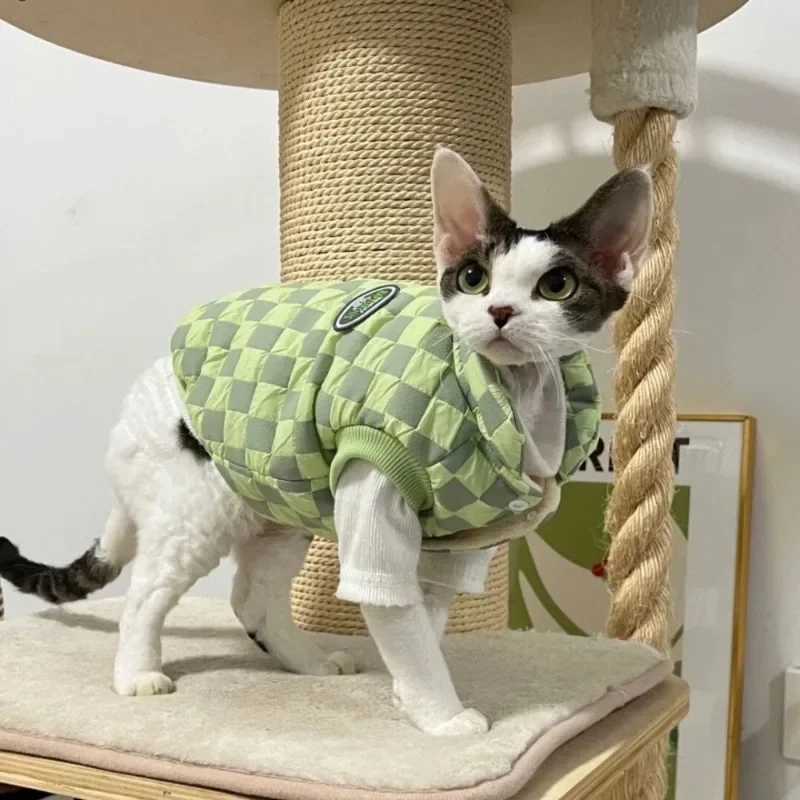 2023 AutumnWinter Hairless Cat Sphinx German Pet Cat Hair Colored Clothes for Warmth C251009