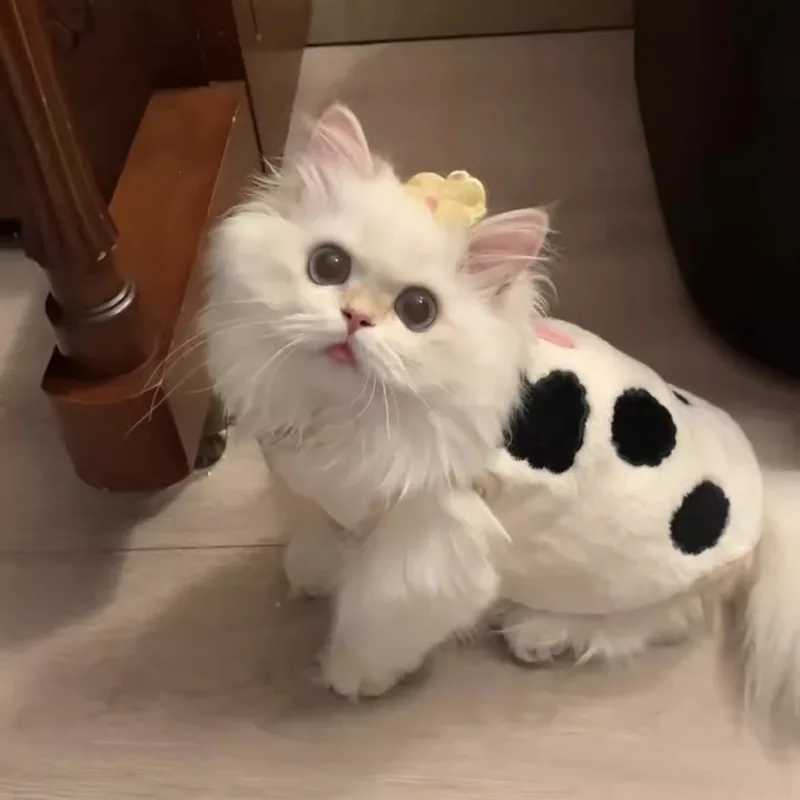 2025 Winter Cat and Dog Universal Cute Pure Cotton Cow Warm Vest C251009