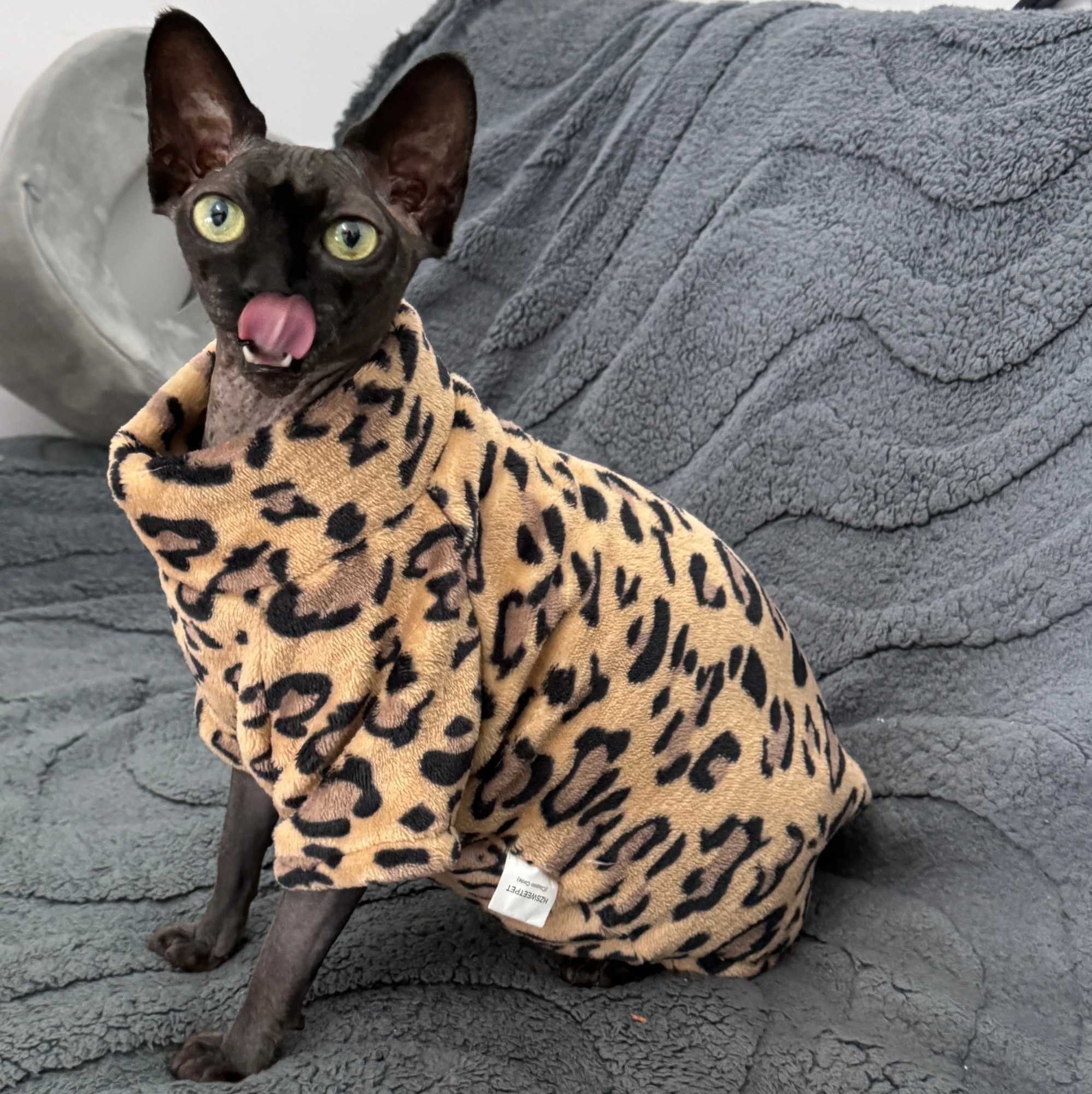 Cat Clothes Fashion Winter Soft Warm for Sphynx Cat Clothing Comfort Thickened Hairless Cat Kitten Outfits Clothes C251009