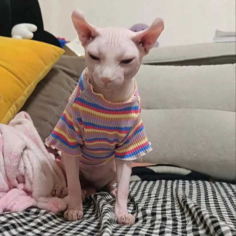 Spring Cotton Pet Cat Clothes for Cats Gotas Mascotas Clothing Sweet Stripe Puppy Sphynx Cat Katten Vest Shirt Ubranie Dla Kota C251009