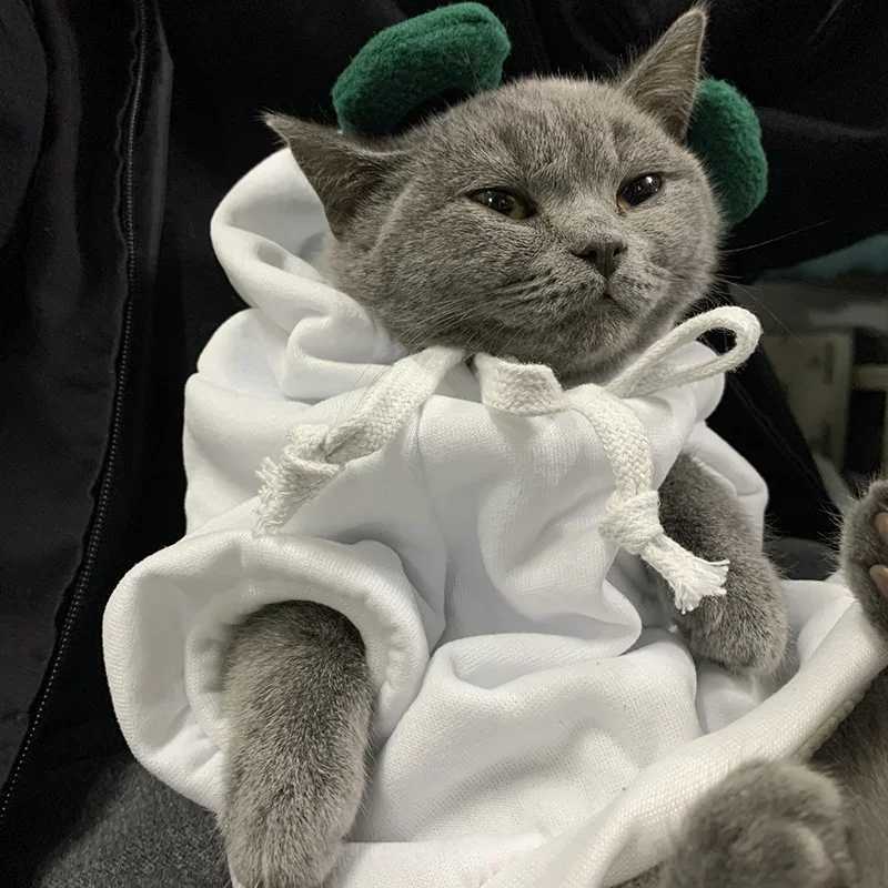 Winter Pet Hoodie Sweater Sports Cat Clothes for Cats Kitten Dog Pullovers Sweatshirt Fruit Animal Cosplay Pets Clothing Costume C251009