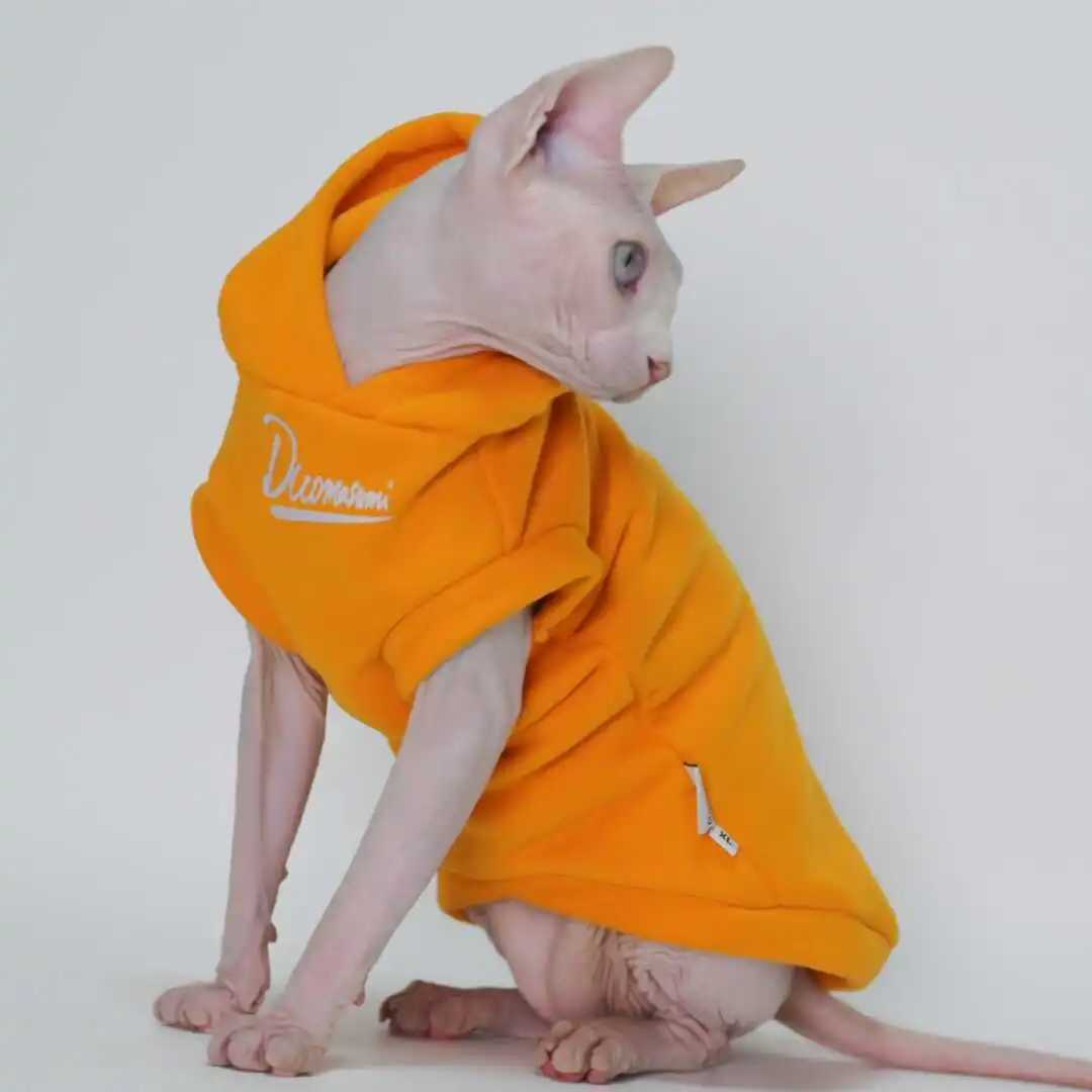 Hairless Cat Clothes Warm and Soft Cat Hoodies for Sphynx Devon Cornish and Abyssinian Cats C251009