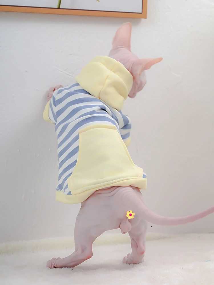 Fasion Sphynx Cat Striped hooded Sweatshirt Sphynix Cat Clothes Jacket Devon Rex Turtleneck Cotton Coat for Spring Autumn Winter C251009