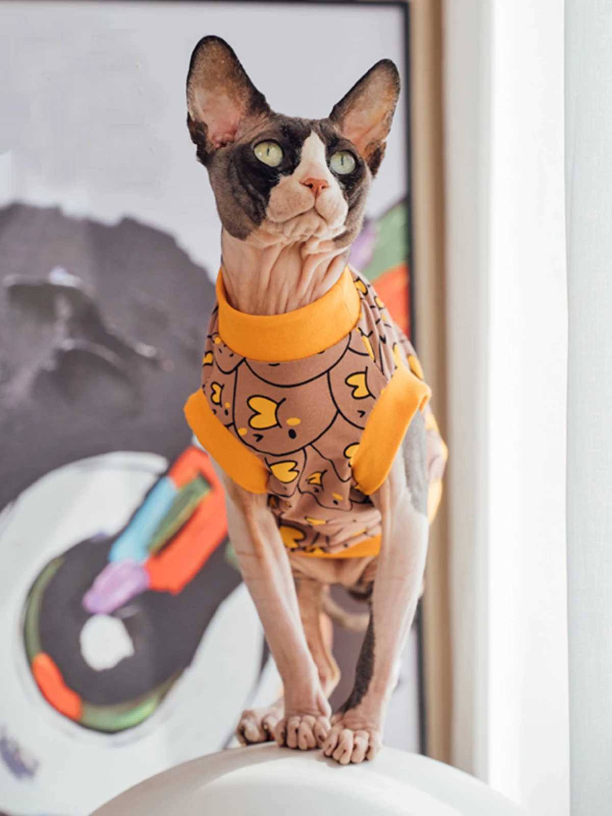 Sphynx Cat Clothes Cat Cotton Tshirt Fashion Cartoon Vest For Hirlless cat Devon Rex Coat in good elasticity For Spring Outwear C251009